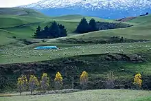 Image 50Rural landscape close to Mt Ruapehu (from Geography of New Zealand)