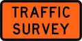 (TW-2.12) Traffic Survey