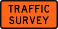 (TW-2.12) Traffic Survey