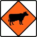 (TW-6) Watch for large animals (cattle)
