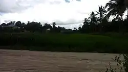 The area is widely known as Rice Valley - Chanika, Dar es Salaam, Tanzania.