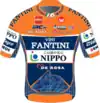 Nippo–Vini Fantini–Faizanè jersey