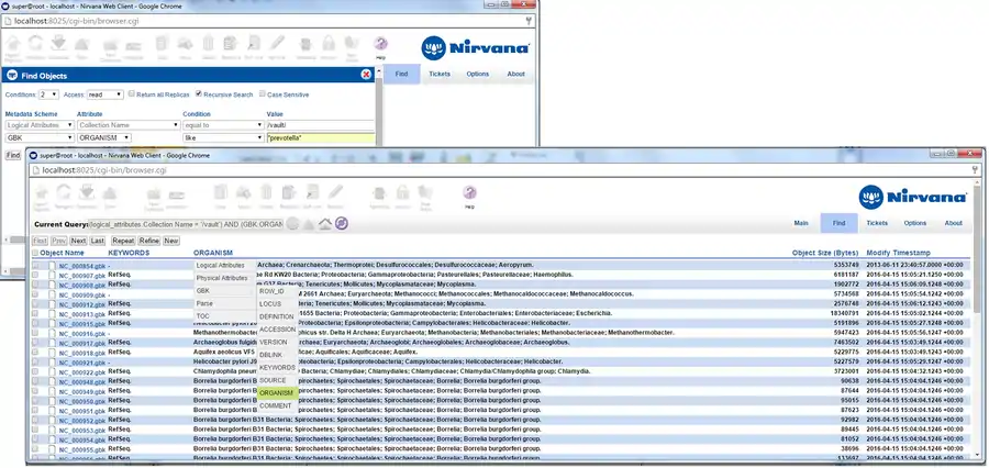 Nirvana Web Browser Graphical User Interface