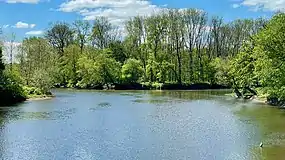 Confluence of the North Branch and the South Branch with the Raritan River
