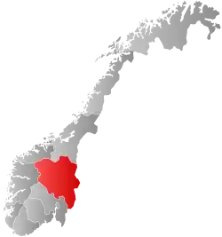 Official logo of Ringebu kommune