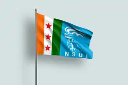 nsui flag