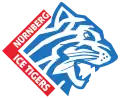 Nürnberg Ice Tigers, 1995–2006