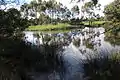David Street wetland in southern O'Connor