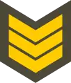 Kiçik çavuş(Azerbaijani Land Forces)