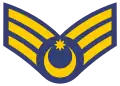 Baş gizir(Azerbaijani Air Forces)