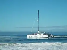 The OSO Catamaran pulling out of the Santa Cruz Harbor