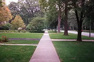 Sidewalk with trees in Oak Park, US