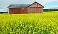 Old field barn in southern Finland