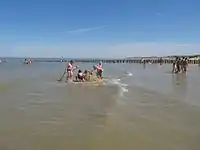 The castle as an island