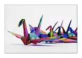 Classic origami cranes, folded and photographed by Richard Saunders