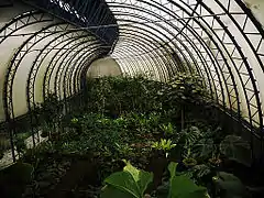 Orchid garden (Orquideario).