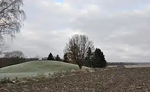 Oseberg Mound, where the 9th century 22-metre Oseberg Ship was discovered