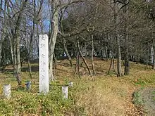 Nyotaizan Kofun