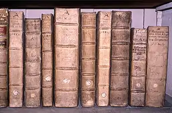 Spines of old books bound in leather.