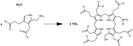 Overall reaction of PB deaminase