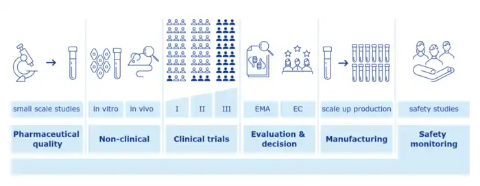 Overview of vaccine development and approval stages