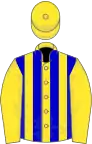 Yellow, blue stripes on body