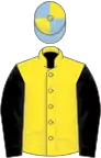 Yellow, black sleeves, yellow and light blue quartered cap