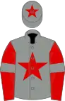 Grey, red star on body and cap, red sleeves, grey armlets