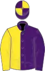 Purple and yellow (halved), quartered cap