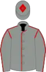 Grey, red seams, grey cap, red diamond