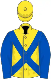 Yellow, Royal Blue cross belts and sleeves