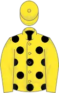Yellow, black spots, yellow sleeves and cap