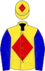 Yellow, red diamond, blue sleeves, yellow cap, red diamond