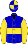Blue, yellow hoop and sleeves, quartered cap