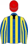 Royal blue and yellow stripes, red cap