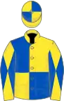 YELLOW and ROYAL BLUE QUARTERED, diabolo on sleeves, quartered cap