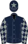 Dark blue, grey diamonds on sleeves, dark blue cap, grey star