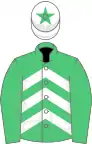 EMERALD GREEN and WHITE CHEVRONS, emerald green sleeves, white cap, emerald green star