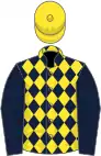 Dark blue and yellow diamonds, dark blue sleeves, yellow cap