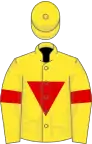 Yellow, red inverted triangle and armlets