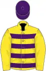 Yellow and purple hoops, yellow sleeves, purple cap