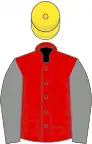 Red, Grey sleeves, Yellow cap