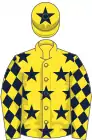 Yellow, dark blue stars, diamonds on sleeves, yellow cap, dark blue star