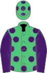 Emerald green, purple spots, sleeves and spots on cap