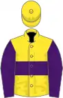 Yellow, purple hoop and sleeves
