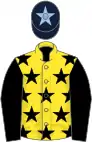 Yellow, black stars, black sleeves, dark blue cap, light blue star