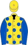 Yellow, royal blue spots and sleeves, yellow cap