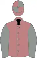 Salmon pink, grey sleeves, quartered cap