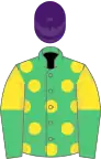 Emerald green, yellow spots, yellow and emerald green halved sleeves, purple cap