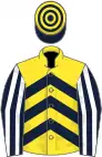 Yellow, dark blue chevrons, blue and white striped sleeves, dark blue and yellow hooped cap